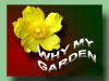 why my garden